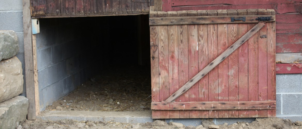 Bottom Dutch Door for Sheep Entrance