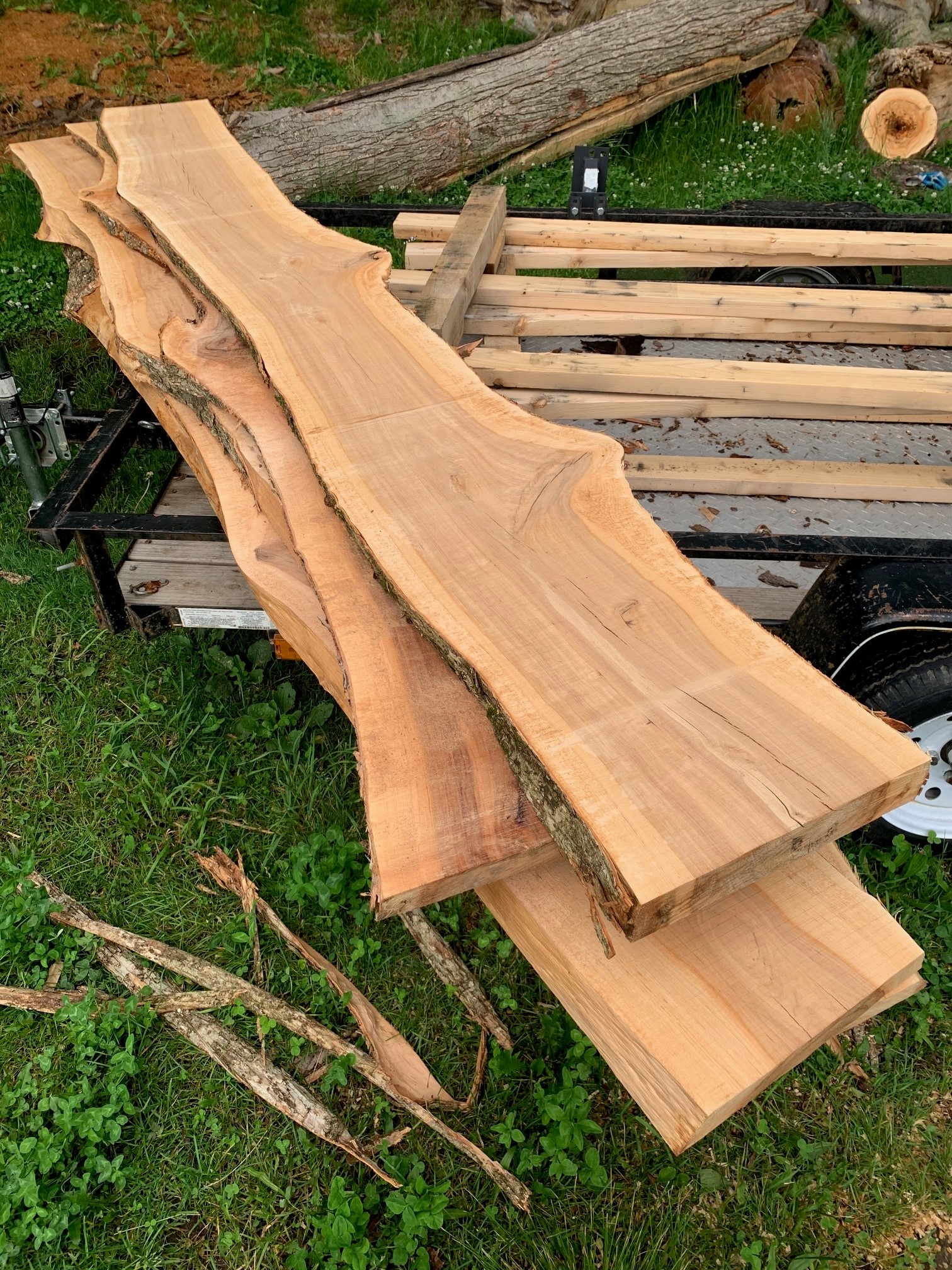 Firewood, Live Edge Wood, and Unique Hardwood Lumber Jacobs Heritage Farm