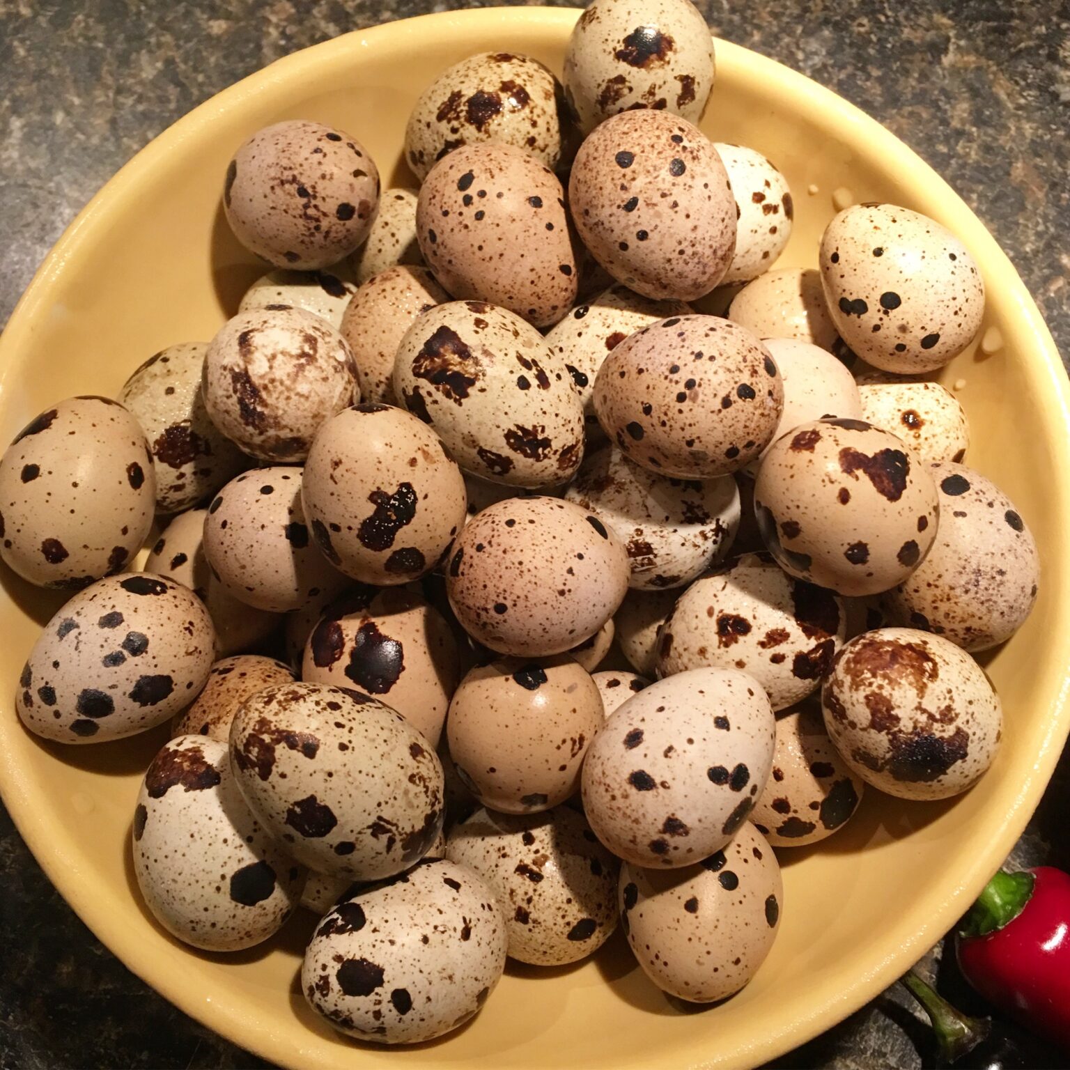 Coturnix Quail Why Eat Quail Eggs? Jacobs Heritage Farm