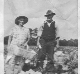 Great-Grandparents Farming Peppers