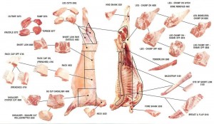 Cuts of Lamb Meat