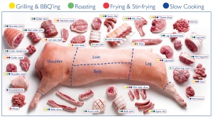 Pork Cooking and Cuts
