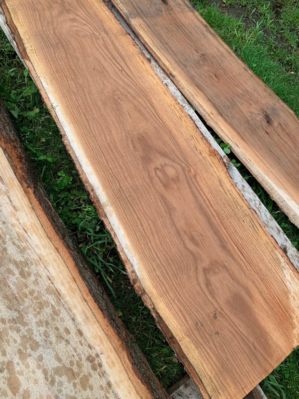 Firewood, Live Edge Wood, and Unique Hardwood Lumber Jacobs Heritage Farm